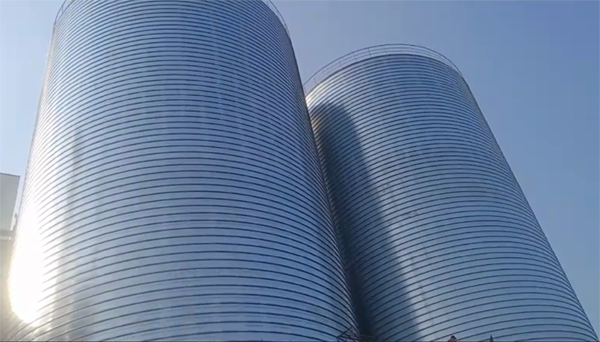 澄城2座混凝土高架卷板仓